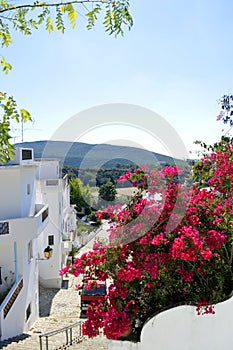 Alte village in Portugal photo