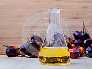 Alternate fuel , bio diesel in laboratory glass and red palm fruits set up on wooden background.