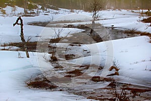 alternation of daytime thaw and night frosts - Creek