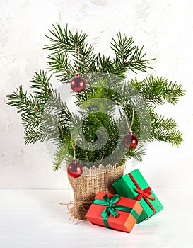 Alternative Christmas tree made of fir branches with two wrapped gift boxes on white background