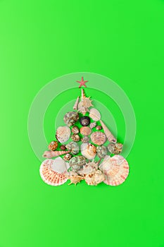 Alternative Christmas tree made from seashells and with a red starfish on a green background.