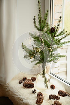 Alternative Christmas tree of natural branches in vase on windowsill. Cozy weekend.