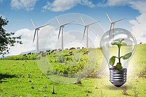 The alternative energy concept with windmills