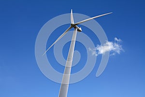 Alternative energy wind turbine