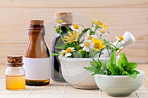Alternative health care fresh herbal ,honey and wild flower with photo