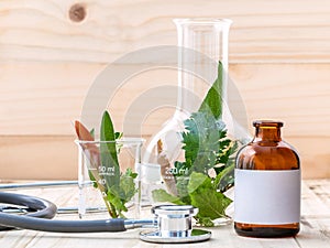 Alternative health care fresh herbal in laboratory glassware wi