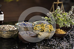 Alternative health, fresh herbal and mortar in black mirror background