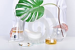 Alternative herbal medicine laboratory, Mortar with healing botanical herbs, Natural organic botany and scientific glassware