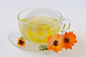 Alternative Medicine. Calendula herbal tea.