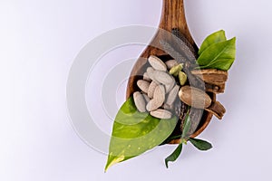 Alternative medicine concept. Ayurvedic medicines and different spices in wooden spoon on white background.jpg