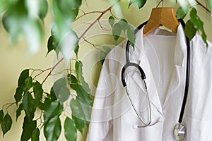 Alternative medicine concept with green tree and doctor coat