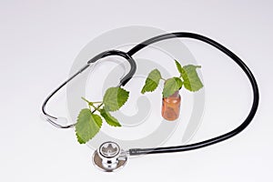 Alternative medicine concept. Stethoscope and herbs