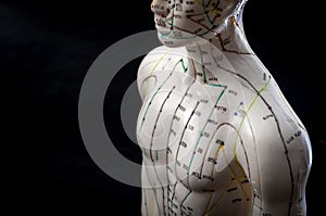 Alternative medicine and east asian healing methods concept with acupuncture dummy model with copy space. Acupuncture is the