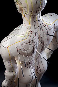 Alternative medicine and east asian healing methods concept with an acupuncturist dummy or model. Acupuncture is the practice of
