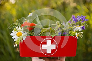 ALTERNATIVE MEDICINE - Fresh herbs in first aid kit