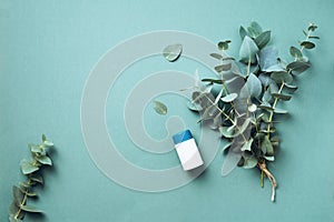 Alternative medicine - green eucalyptus leaves and pills on green background. Detox and anti parasite cleanse concept