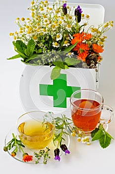 Alternative Medicine. Herbal Therapy.