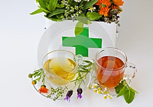 Alternative Medicine. Herbal Therapy.