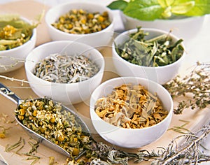 Alternative Medicine. Herbal Therapy. Healing plants. photo