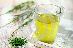 Alternative Medicine. Herbal Therapy. Horsetail infusion in glass cup. grey background