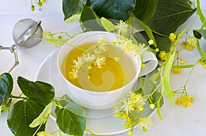 Alternative Medicine. Herbal Therapy. Lime blossom tea