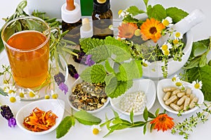 Alternative Medicine. Herbal img