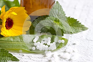 Alternative medicine herbs and homeopathic pills