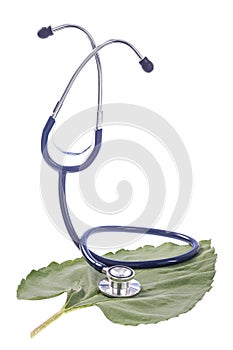 Alternative medicine herbs and stethoscope on leaf