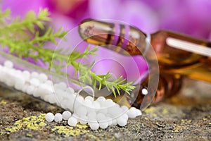 Alternative medicine with homeopathic pills