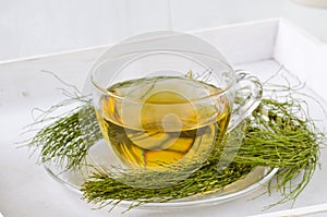 Alternative Medicine. Horsetail herbal tea.