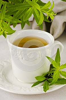 Alternative Medicine. Lemon verbena herbal tea.