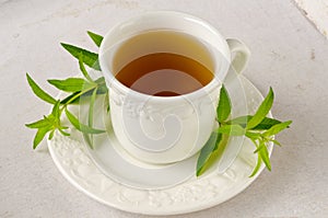 Alternative Medicine. Lemon verbena herbal tea.