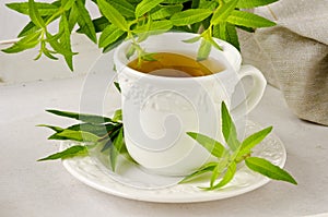 Alternative Medicine. Lemon verbena herbal tea.