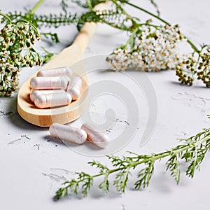Alternative medicine, naturopath and dietary supplement. Herbal remedy in capsules and plants over grey background