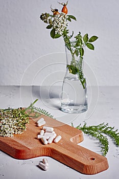 Alternative medicine, naturopath and dietary supplement. Herbal remedy in capsules and plants over white background