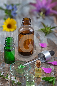 Alternative medicine, naturopath and dietary supplement. Herbal remedy in capsules and plants over WHITE background.