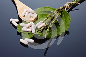 Alternative medicine, naturopathy and dietary supplement. Herbal remedy in capsules and plants over black background