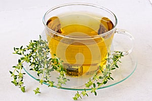 Alternative Medicine. Thyme herbal tea.