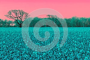 Alternative reality. Surreal pink sky landscape in AI vision