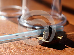 Alternative Therapies Moxibustion01