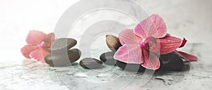 Alternative therapy. orchid flowers with black stones on marble background