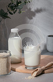 Alternative vegan milk based on sesame seeds