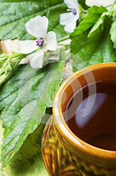 Althaea Herbal Tea