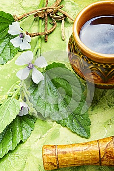 Althaea Herbal Tea