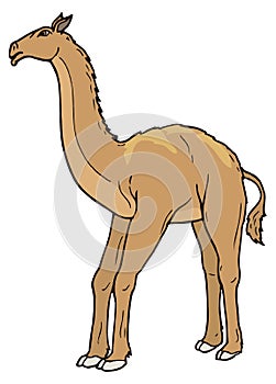 alticamelus dinosaur ancient vector illustration transparent background