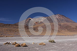Altiplano photo