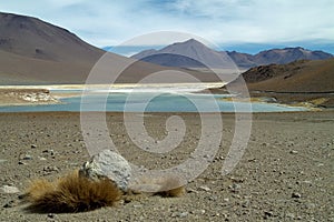 Altiplano 2 photo