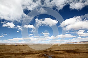 Altiplano photo