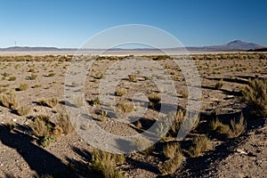 Altiplano Boliviano - an amazing adventure 04 photo