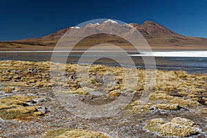 Altiplano Boliviano - an amazing adventure 19 photo